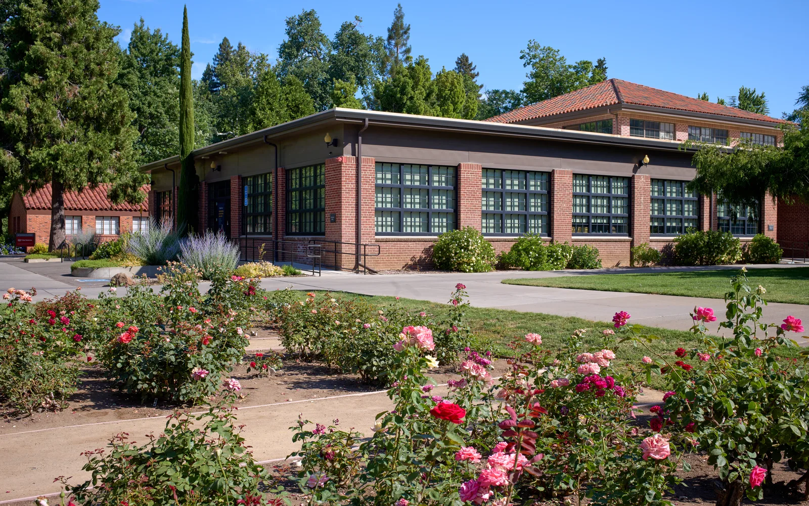 Colusa Hall viewed from the George Petersen Rose Garden on the campus of California State University, Chico